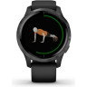 Часы GARMIN VENU SLATE STAINLESS STEEL BEZEL WITH BLACK CASE AND SILICONE BAND 10529